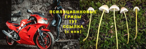 гашиш Бородино