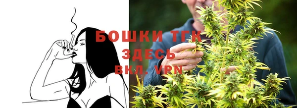 твердый Богородицк